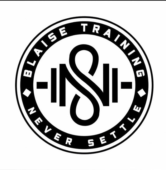 Blaise Training- Consultation - Blaise Training Never Settle